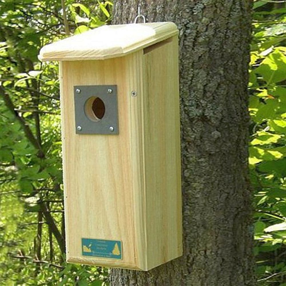 Conservation Downy Woodpecker House